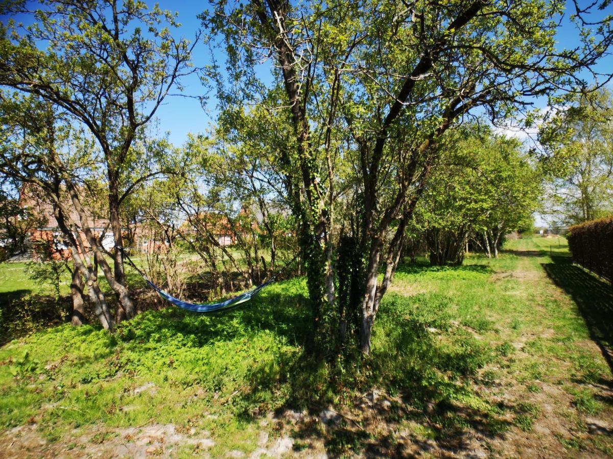 Huus An'T Doerpsdiek Krummhörn Exterior foto