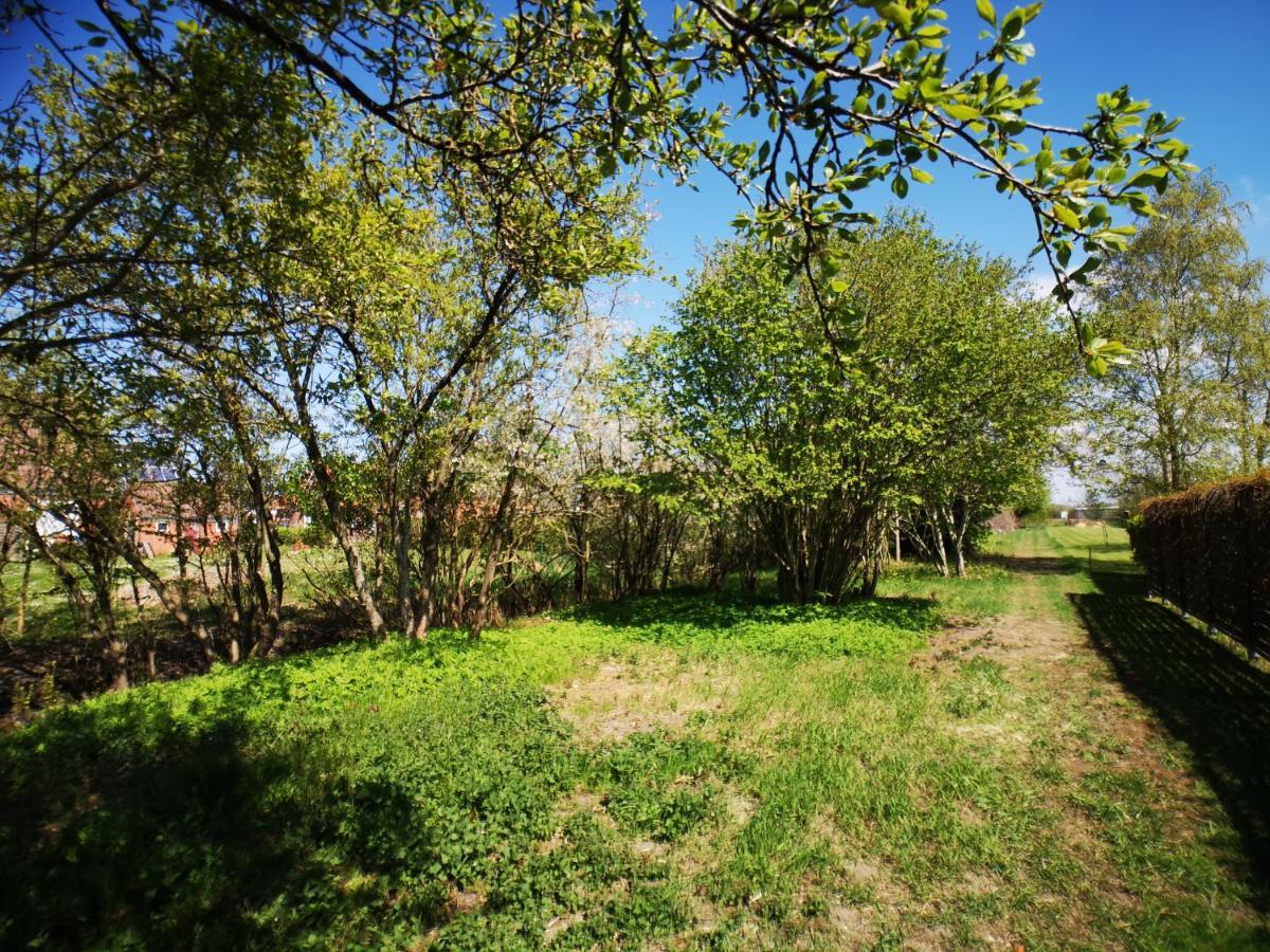 Huus An'T Doerpsdiek Krummhörn Exterior foto